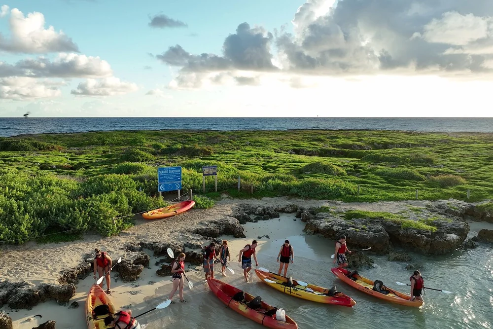 Un grupo guiado desembarcando kayaks rojos y amarillos en una cala rocosa de Flat Island, con carteles del santuario detrás