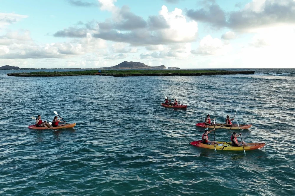 Varios kayaks con palistas cruzando aguas abiertas hacia una isla larga y baja bajo un cielo nublado