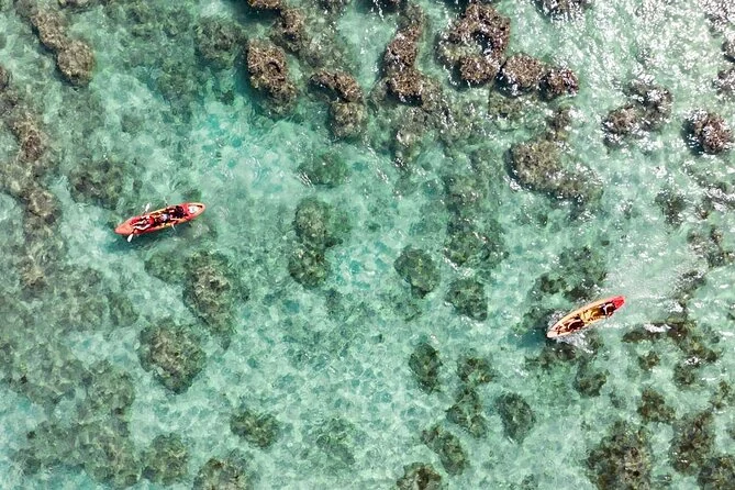 Vista aérea de dos kayaks sobre agua clara y manchas oscuras de arrecife