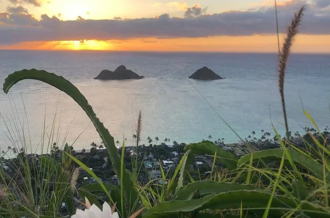 Los dos islotes Mokulua frente a la costa con las primeras luces, vistos desde una cresta cubierta de hierba sobre el pueblo de Lanikai